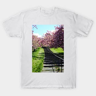 Cherry Blossom trees T-Shirt